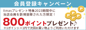 レビューキャンペーン